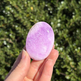 Pink Aragonite Palm Stone G