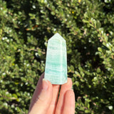 Caribbean Calcite Tower H