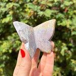 Ocean Jasper Butterfly Carving B