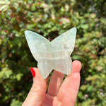 Fluorite Butterfly Carving B