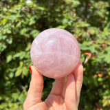 Star Rose Quartz Spheres