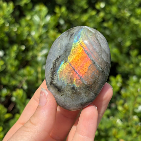 Rainbow Labradorite Palm Stone H