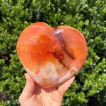 Jumbo Carnelian Heart