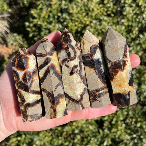 Septarian Towers