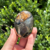 Pyrite + Golden Healer Palm Stone G