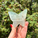 Fluorite Butterfly Carving B