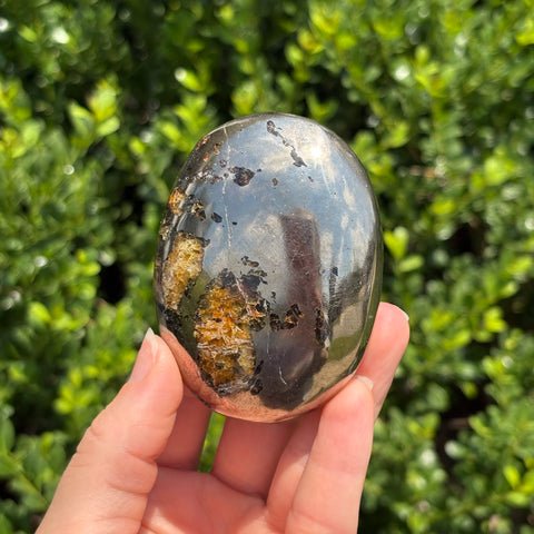 Pyrite + Golden Healer Palm Stone P