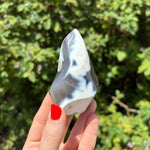 Orca Agate Flame F