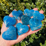 Vibrant Blue Apatite Hearts