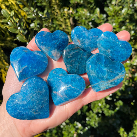 Vibrant Blue Apatite Hearts
