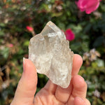 Natural Citrine Cluster A