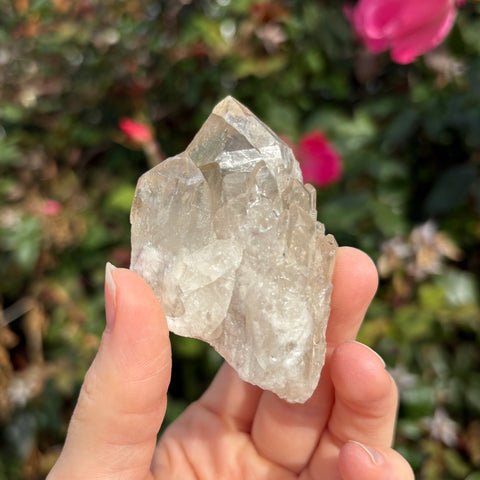 Natural Citrine Cluster A