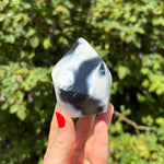 Orca Agate Flame D