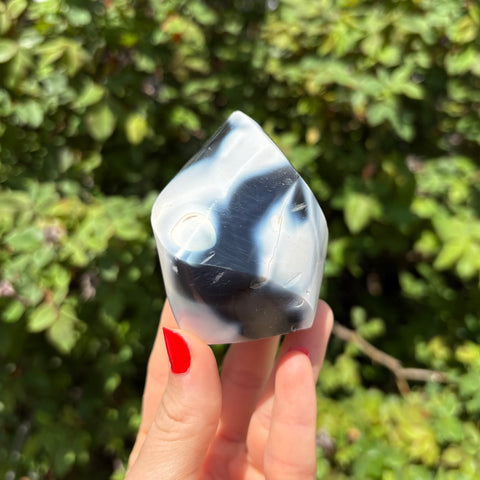 Orca Agate Flame D