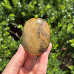 Golden Healer + Pyrite Palm Stone B