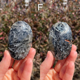 Black Tourmaline in Quartz Palm Stones