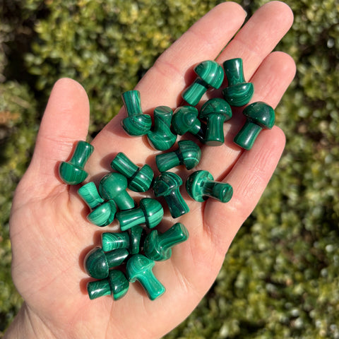 Mini Malachite Mushrooms