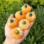 Medium Orange Calcite Pumpkin Carvings