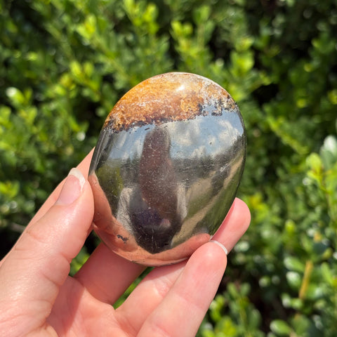Pyrite + Golden Healer Palm Stone M