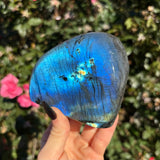 Blue Labradorite Freeform B