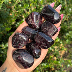 Gemmy Garnet Freeforms