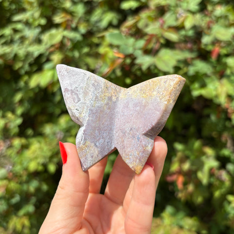 Ocean Jasper Butterfly Carving B