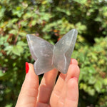 Fluorite Butterfly Carving D