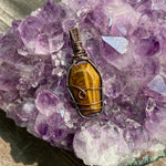 Tiger’s Eye Coffin Pendant