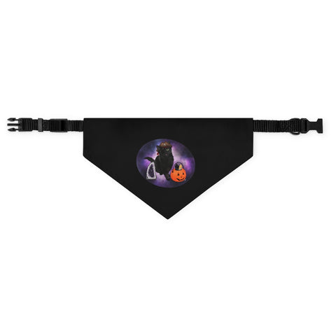 Oracle Pet Bandana Collar